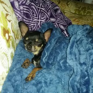 Meet your Posher, Annelle